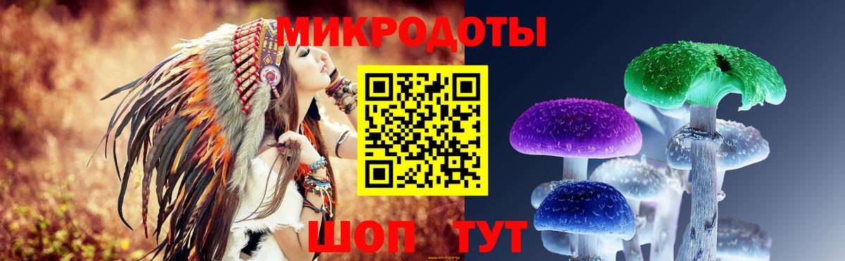 Псилоцибиновые грибы Psilocybe  Вход с VPN  Псилоцибиновые грибы Cubensis  Новочеркасск 