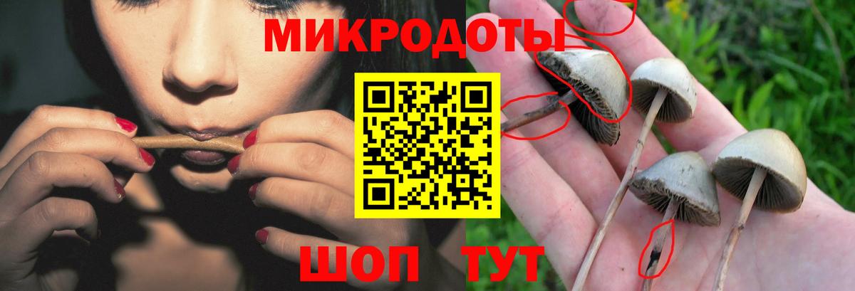 Псилоцибиновые грибы Magic Shrooms Новочеркасск